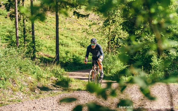Tätowierter Mann auf einem Gravelbike von vorne. Er fährt einen Schotterweg hoch.