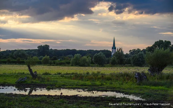 Het natuurreservaat Woeste ligt in de onmiddellijke omgeving van Bad Sassendorf.