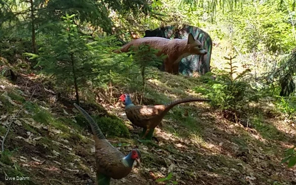 Figuren Bogenparcours