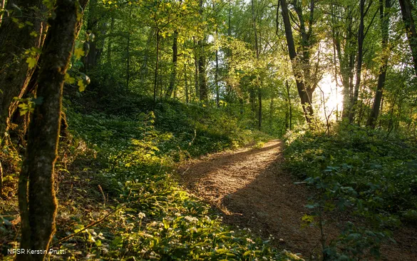 Soul place hike.png