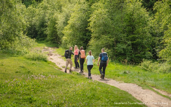 Fünf junge Wanderer in Outdoorkleidung wandern einen Berg hinauf. Die Bäume leuchten grün und auf der Wiese blühen Blumen.