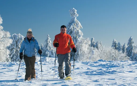 Schneeschuhwanderung (Schmallenberger Sauerland Tourismus - Klaus-Peter Kappest).jpg