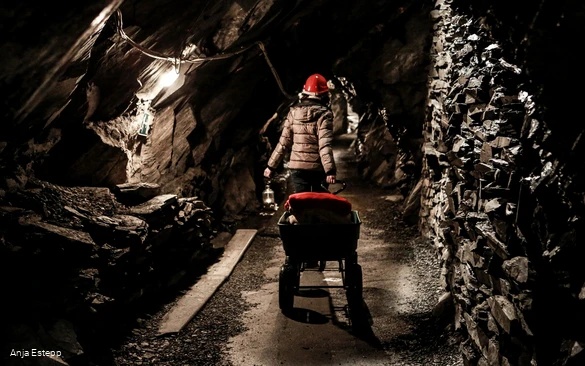 1I4A7185, copyright Susanne Müller, photographer Anja Estepp.jpg