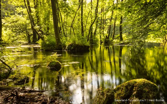 The Almequellen springs with their mysticism are a very special destination for an excursion.