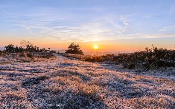 Winter_Header (Sauerland-Tourismus e.V. - Klaus-Peter Kappe).jpg