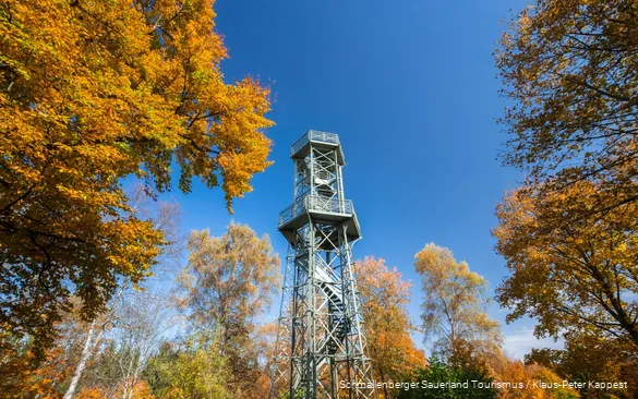 View of the Wilzenberg tower.