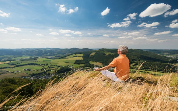 Man at the Bruchhauser Steine.png