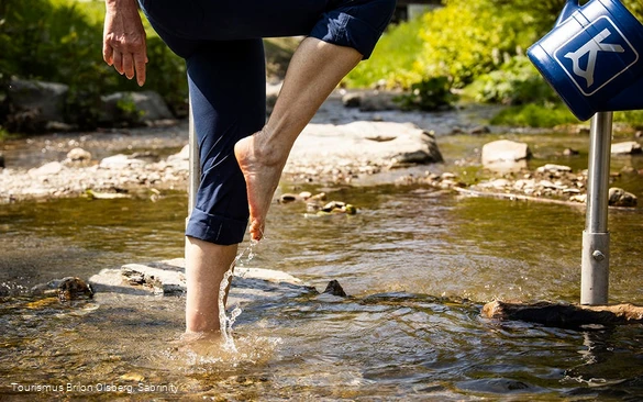 Sprung über das Wasser