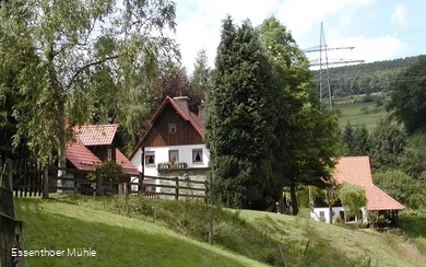 Vogelpflegestation für Greifvögel und Eulen