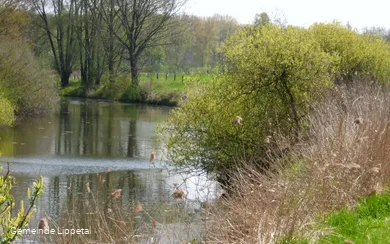 "Altarm" der Lippe