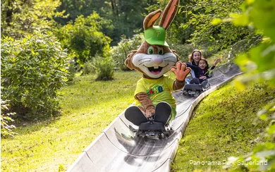 Das Panorama-Park Maskottchen Pano fährt mit der Sommerrodelbahn Fichtenflitzer.