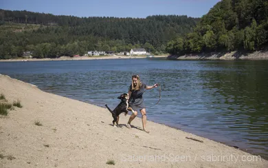 Ein Hund spielt am Diemelsee. Ein hundefreundlicher Ausflug im Sauerland.