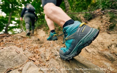 Hikers on the Winterberg high tour in the Sauerland-Wanderdorf hiking villages.