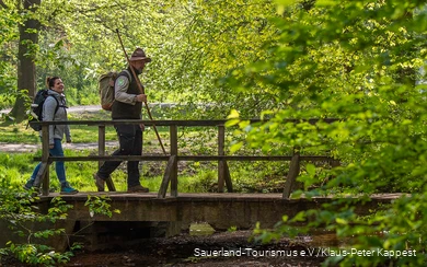 Sauerland-Waldroute-Bibertal.jpg
