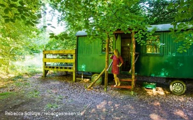 Travel blogger Rebecca Schirge in the Vosswinkel wild forest