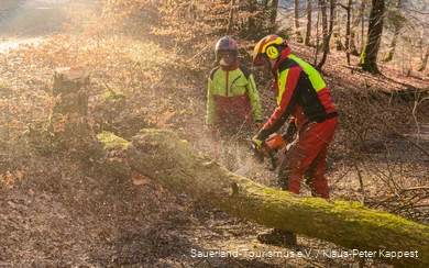 Two employees of the Landesbetrieb Wald und Holz NRW are sawing up a fallen tree.
