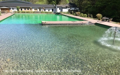 Schwimmbecken
