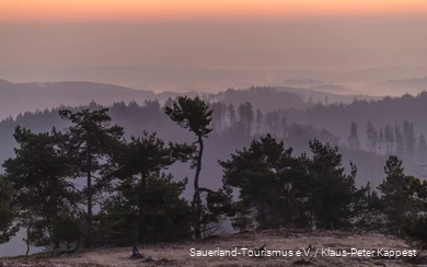 Uitzicht op het landschap vanaf de Osterkopf bij Willingen.