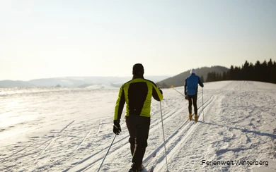 Cross-country skiing on well-prepared trails in Winterberg.