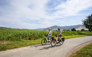 A pair of cyclists ride along the cycle path through green fields.