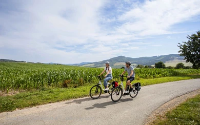 A pair of cyclists ride along the cycle path through green fields.
