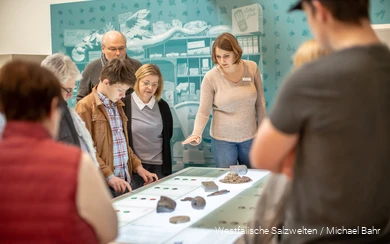 Einblick in eine Führung in den Westfälischen Salzwelten mit einer Gruppe, die sich Ausstellungsstücke anschaut, und einer Führerin, die sie erklärt.