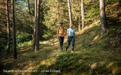 Bestwig Panorama Trail 1.png
