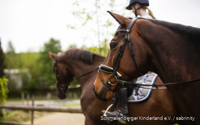 Two riders with their horses.