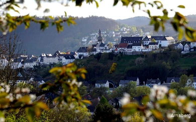 Blick auf Arnsberg