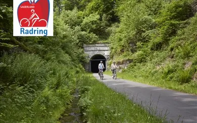 radring-teaser_front_large.jpg