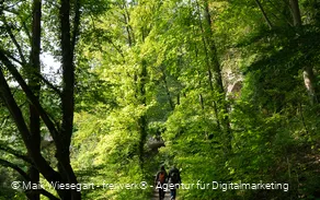 Zuweg Sauerlandroute
