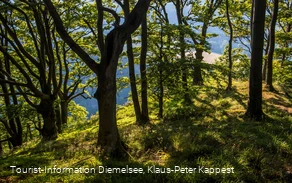 Laubwald bewachsener Gipfel