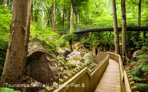 Bruggen en paden in het Felsenmeer Hemer.