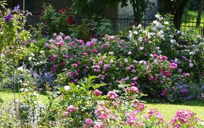 Rosengarten_unten_3000.jpg