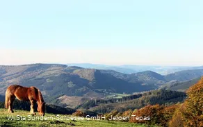 Wildewiese