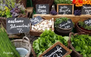 Marktstände unterschiedlichster Art warten auf die