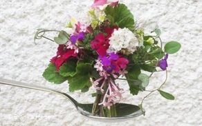 Bianka Floristik & Dekoration - Mini-Blumenstrauß