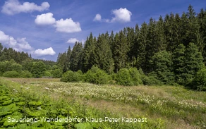 Natur im Schwarzbachtal
