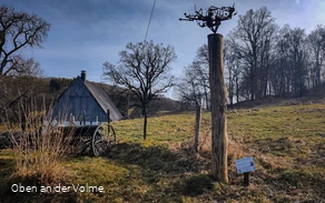 Scheuerpfahl Phönix