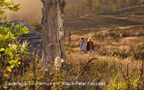 Wanderinnen unterwegs in Herbstlandschaft