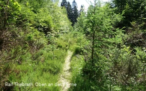 Spannende Wegeführung auf schmalen Pfaden