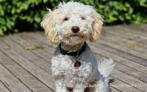 Ausflugsziele (Toffi)