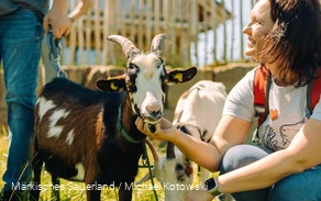 Ziege2go - Ziegenwanderungen