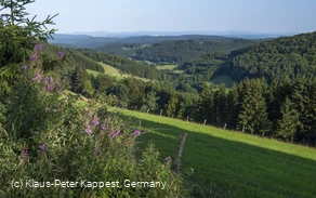 blick-ins-sauerland_c_klaus-peter-kappest-sauerland-wanderdoerfer.jpg