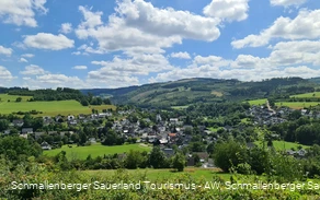 Blick auf Fleckenberg im Hochsauerland