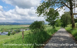 Wanderweg We1 bei Werpe