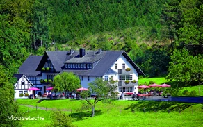 Landgasthof GutAhe.jpg