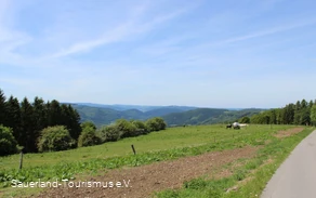 Wanderweg Wildewiese