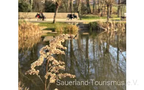 Spa Park