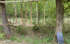 IMG_2926.jpeg IMG_2926.jpeg